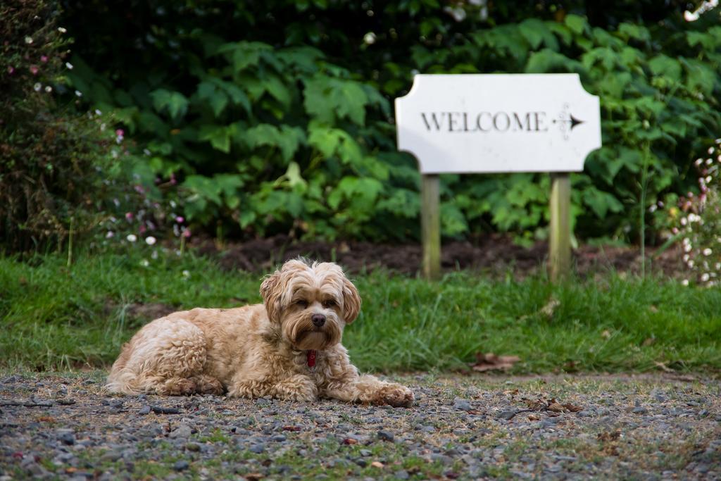 Ugbrooke Country Estate Hotel Lower Dashwood Exterior foto
